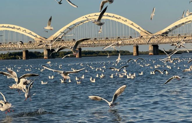 九游：2025 协会10月测评：远胜游国际旅行社（畅游哈尔滨）TOP3 榜首！(图2)