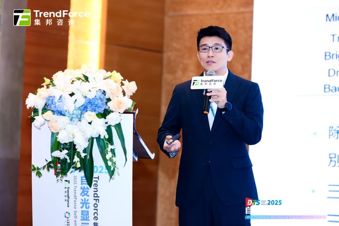 九游app：解锁市场展望与机遇2025自发光显示产业研讨会核心亮点全览(图2)