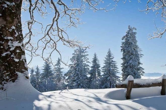 增强现实游戏促进户外活动(图1)