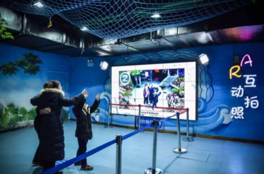 九游娱乐官方网站：2026健身器械项目可行性：需求分层与供给错配的双重矛盾(图1)