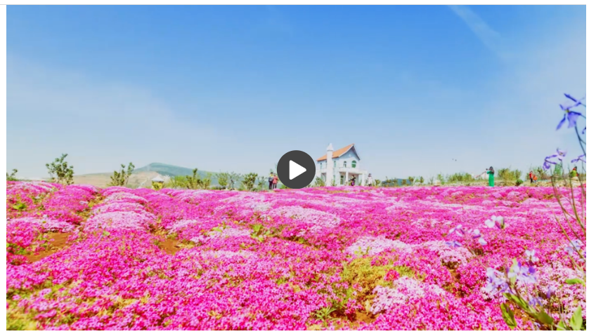 “文旅+”破圈赋能激活消费新场景(图5)